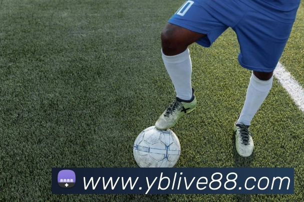 友博体育发展历程